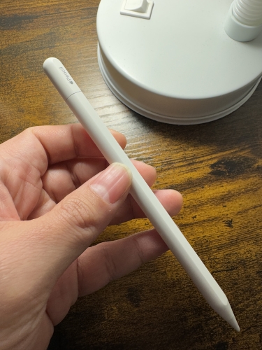 the Apple Pencil